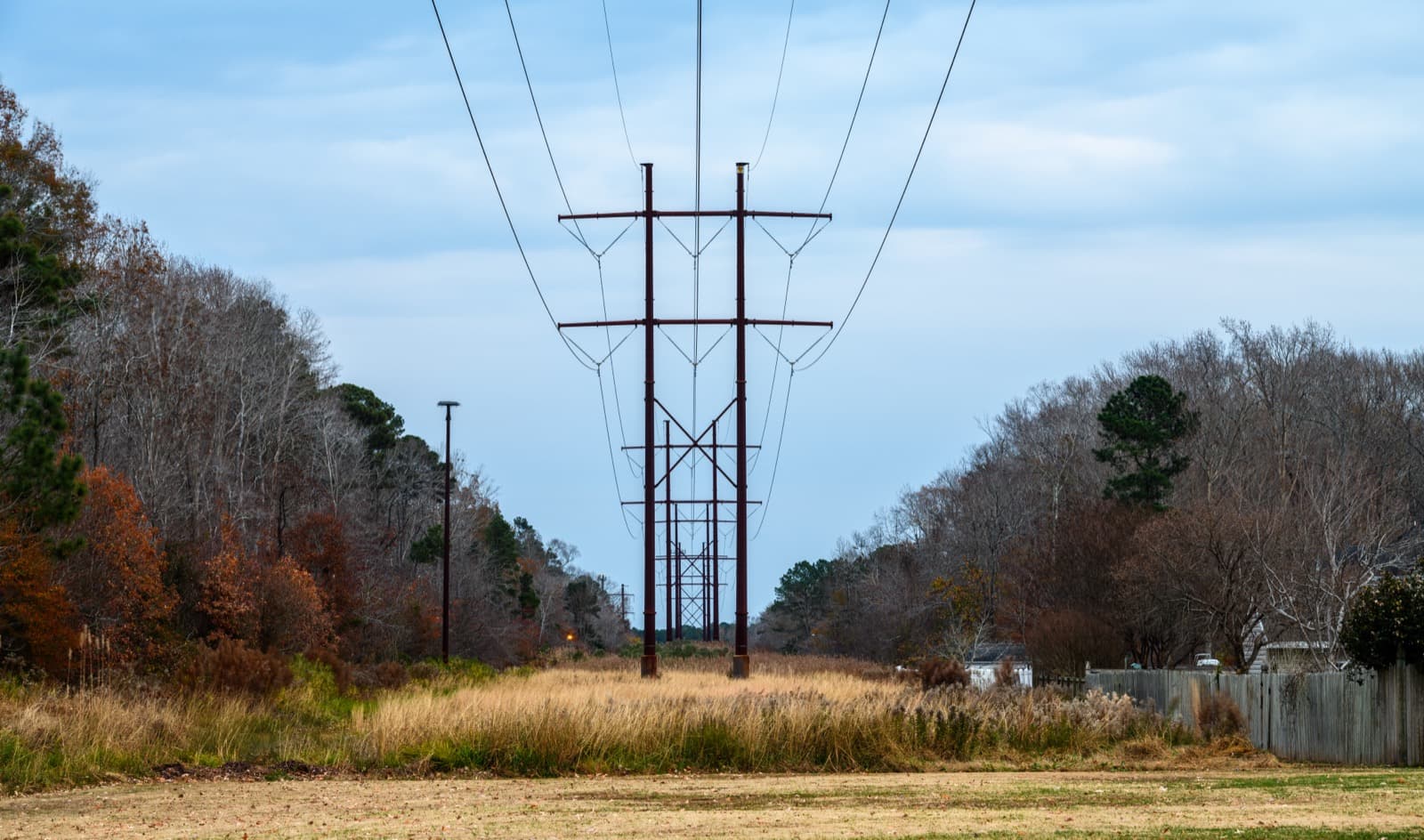 A high-voltage transmission line corridor cutting through autumn woodland under a pale sky.